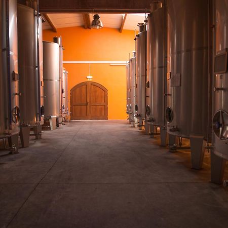 Tranca Da Barriga - Casa Do Vinho By Quinta De Sao Tiago Villa Covilhã Екстериор снимка