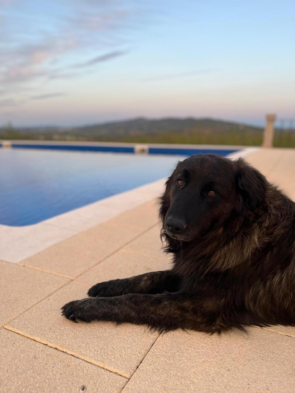 Tranca Da Barriga - Casa Do Vinho By Quinta De Sao Tiago Villa Covilhã Екстериор снимка